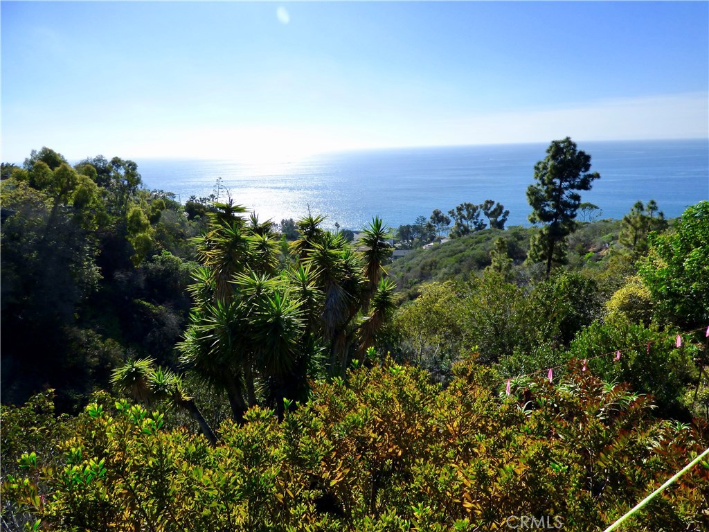 565 Fern Street, Laguna Beach CA 92651 - photo 1