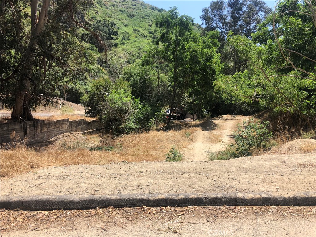 586 Canyon Acres Drive, Laguna Beach CA 92651 - photo 1