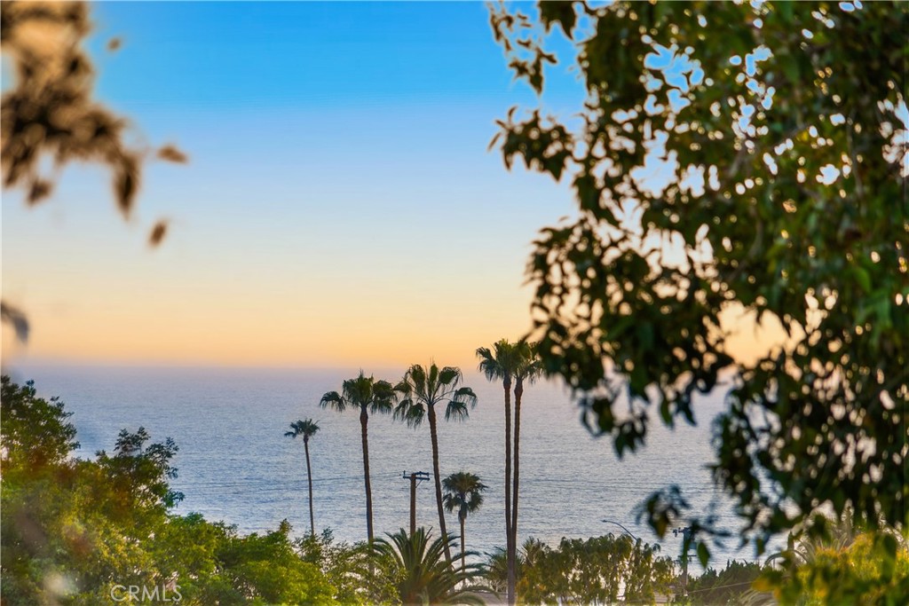 592 Bluebird Canyon Drive, Laguna Beach CA 92651 - photo 65