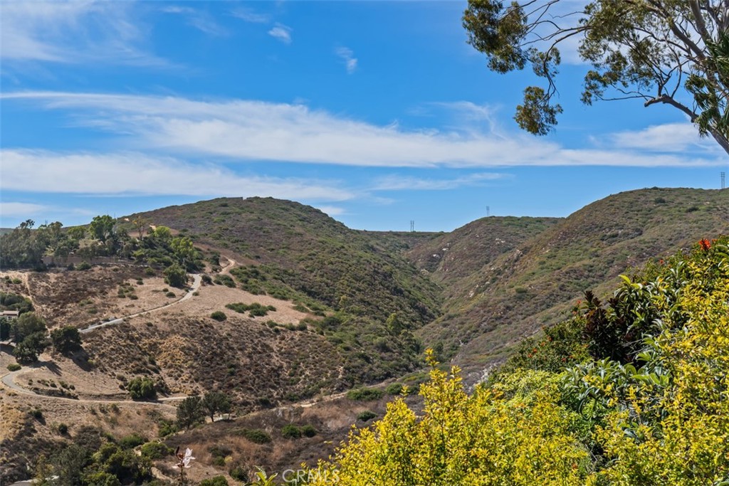 Views of the hillsides to the north part of town are very interesting. - 664 Mystic View, Laguna Beach CA 92651 - photo 38