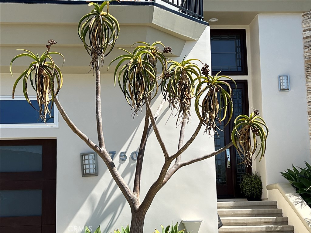 Come on in. - 750 Bolsana Drive, Laguna Beach CA 92651 - photo 18