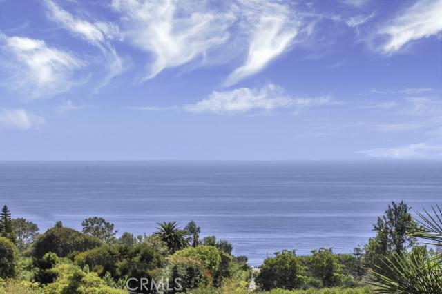 You cannot beat this price for this quality of construction and these views. This home even has a yard and a mother-in-l - 796 Summit Drive, Laguna Beach CA 92651 - photo 1