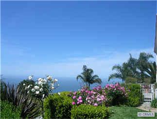 Neighbor's Flowers. - 810 SANTA ANA, Laguna Beach CA 92651 - photo 1
