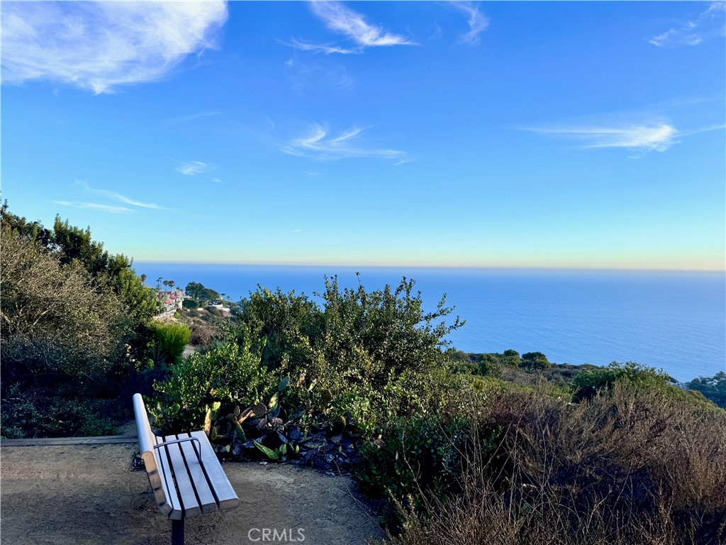 896 Quivera, Laguna Beach CA 92651 - photo 61