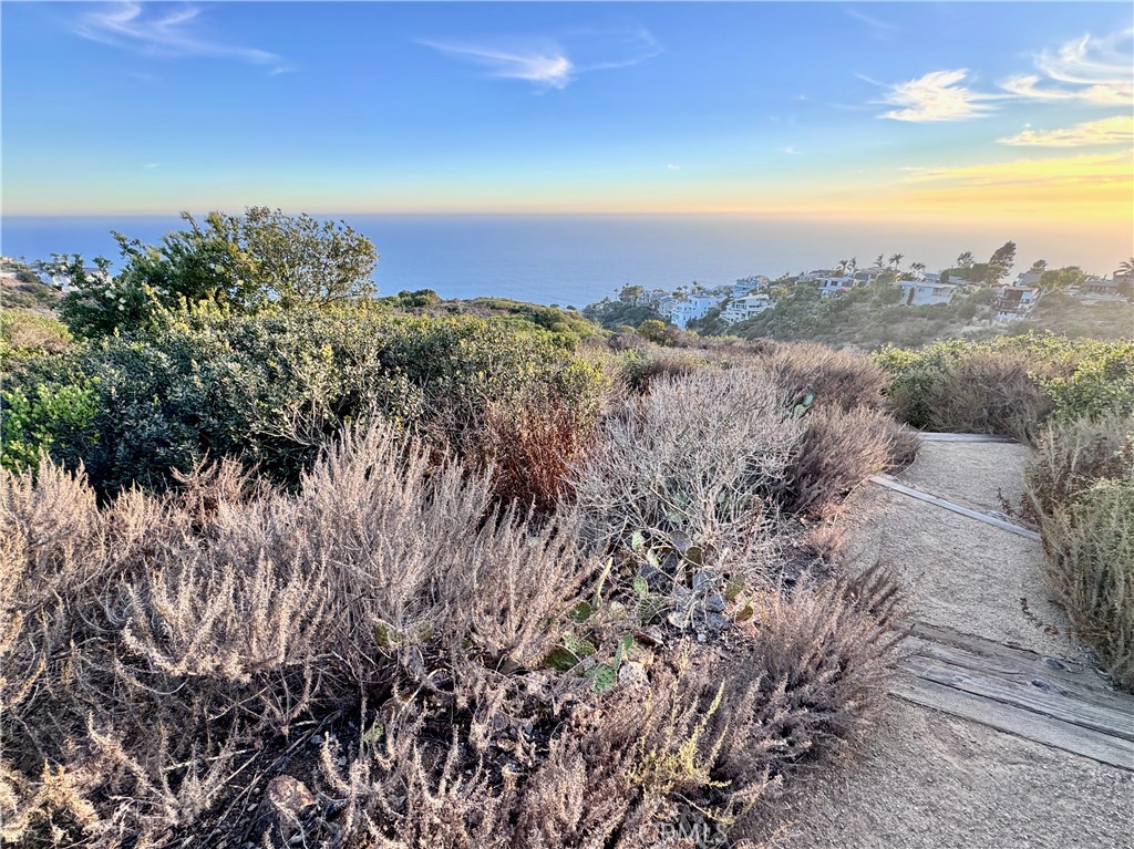 896 Quivera, Laguna Beach CA 92651 - photo 62