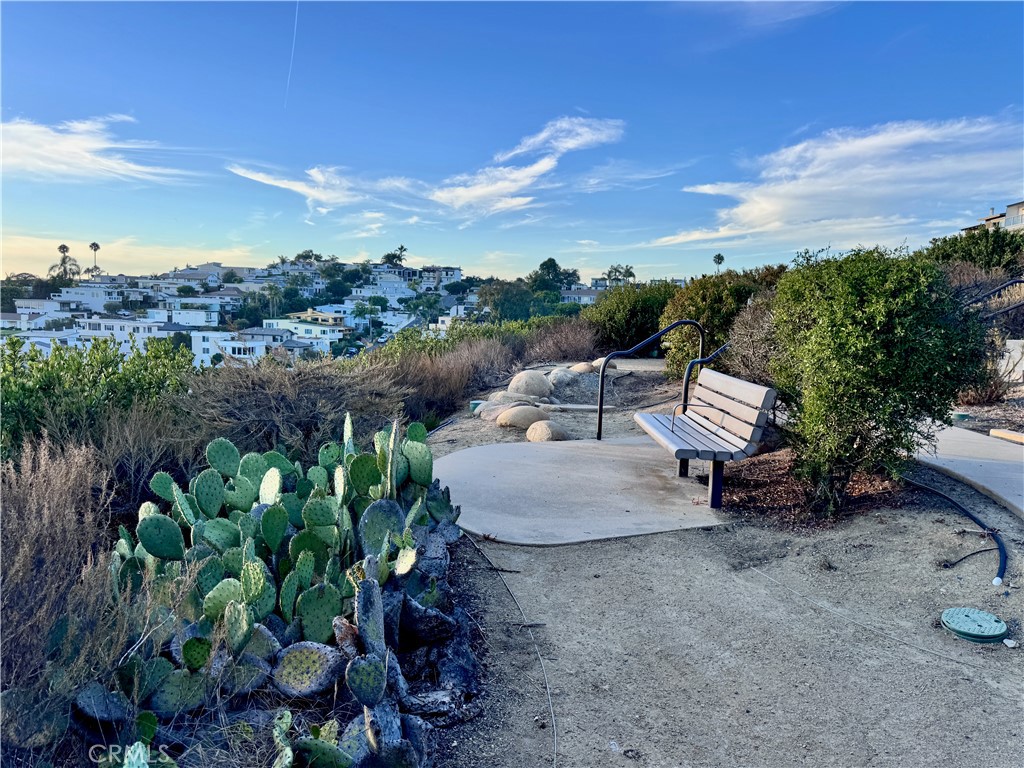 896 Quivera, Laguna Beach CA 92651 - photo 63