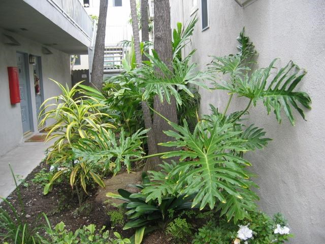 921 S Coast Highway B, Laguna Beach CA 92651 - photo 1