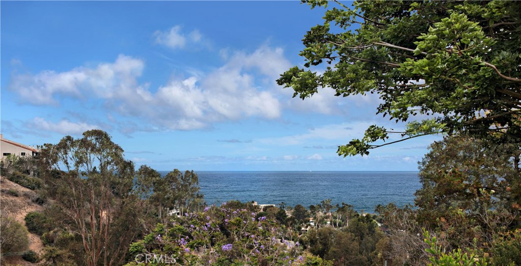980 Meadowlark Lane, Laguna Beach CA 92651 - photo 1
