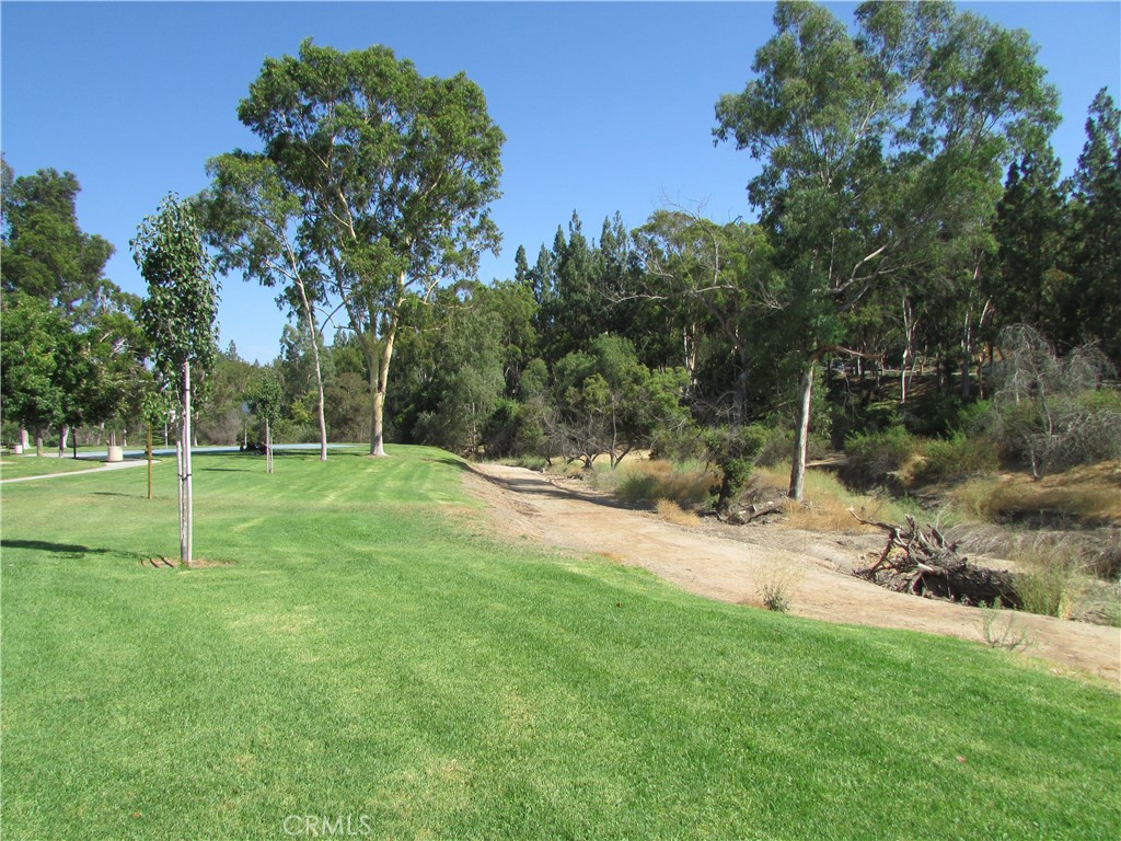 22372 Caminito Mescalero 272, Laguna Hills CA 92653 - photo 17