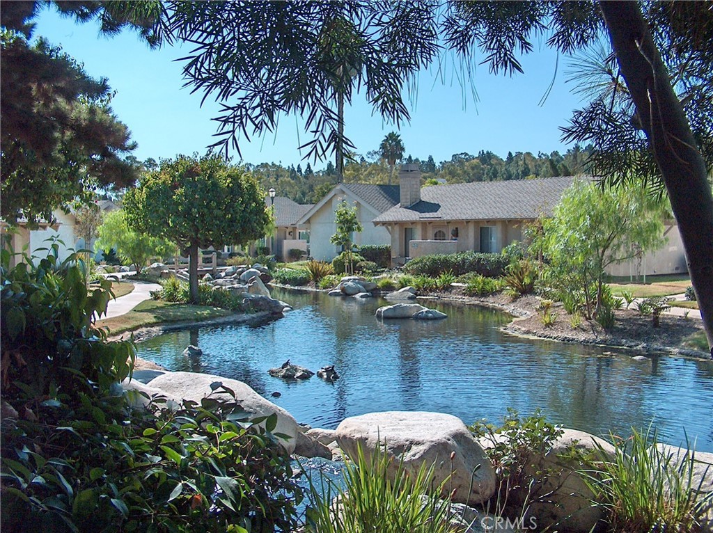 22975 CAMINITO OLIVIA 53, Laguna Hills CA 92653 - photo 33