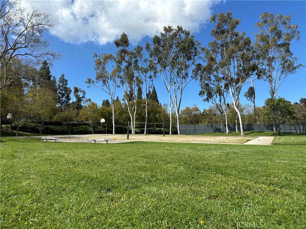 Volleyball and basketball courts - 23325 Caminito Juanico, Laguna Hills CA 92653 - photo 17