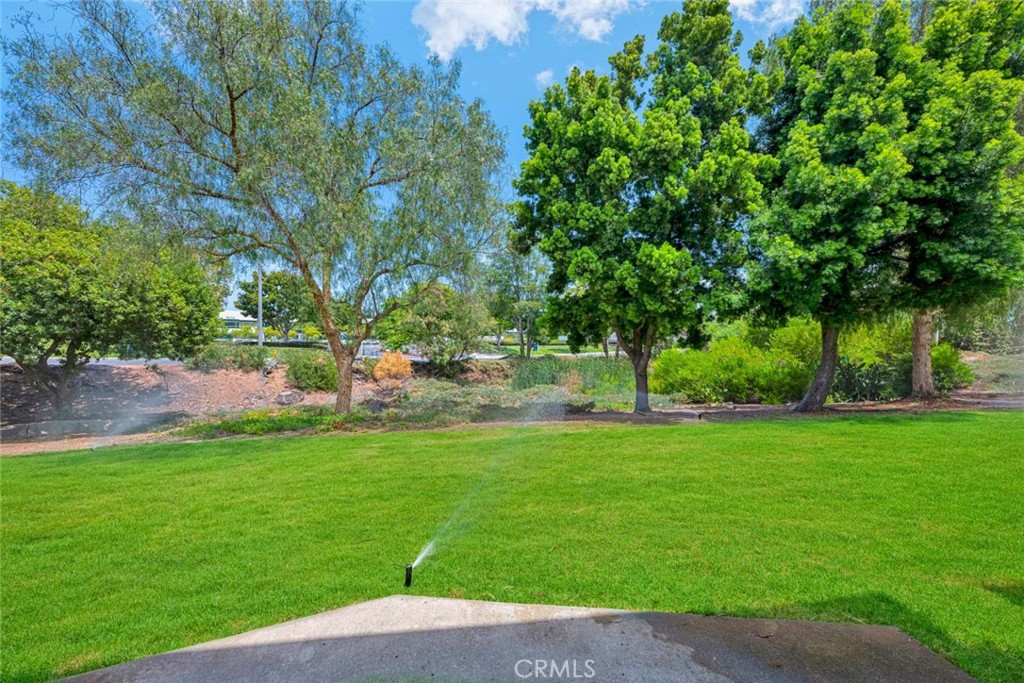 23432 Caminito Salado, Laguna Hills CA 92653 - photo 23