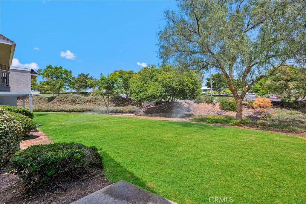 23432 Caminito Salado, Laguna Hills CA 92653 - photo 24