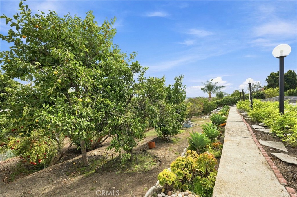 25901 Prairestone Drive, Laguna Hills CA 92653 - photo 64