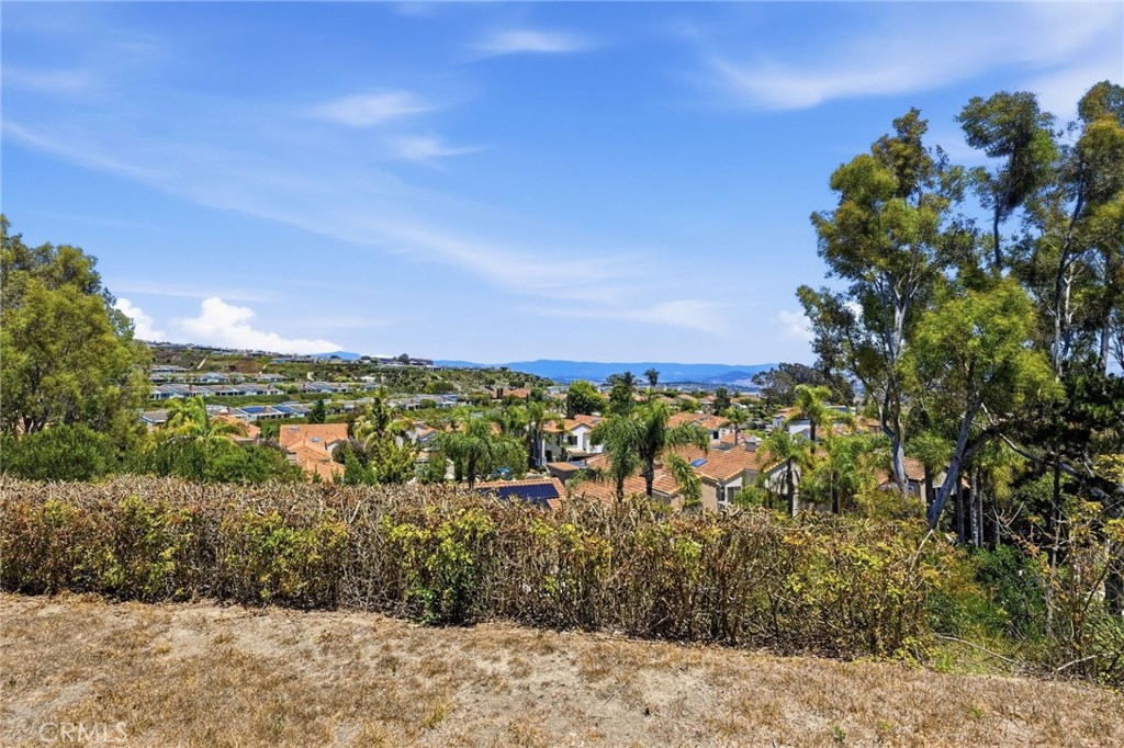 10 Toulon, Laguna Niguel CA 92677 - photo 42