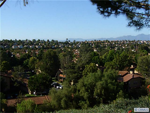 View of the yard - 11 SORBONNE, Laguna Niguel CA 92677 - photo 1