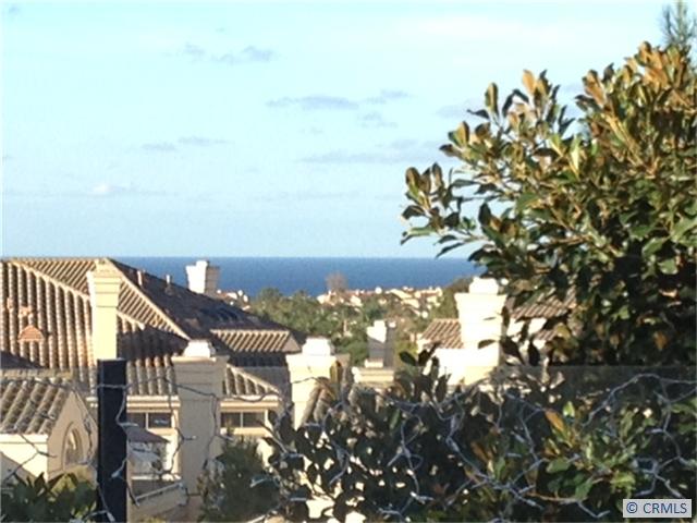 134 COSTA BRAVA, Laguna Niguel CA 92677 - photo 1