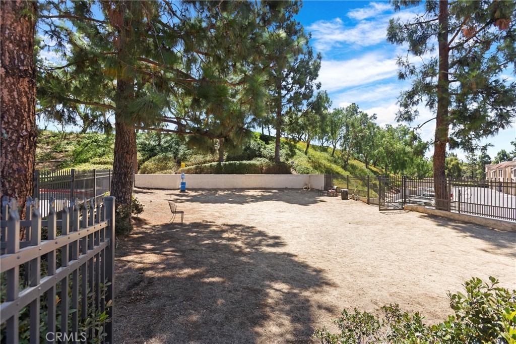 137 Pearl, Laguna Niguel CA 92677 - photo 24