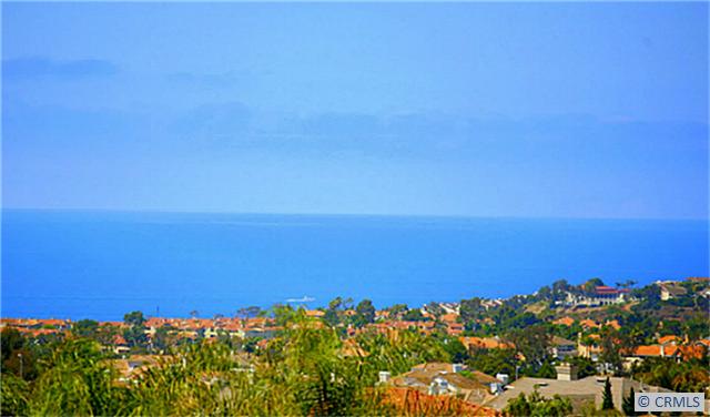 GREAT OCEAN VIEWS - 14 PALISADES, Laguna Niguel CA 92677 - photo 1