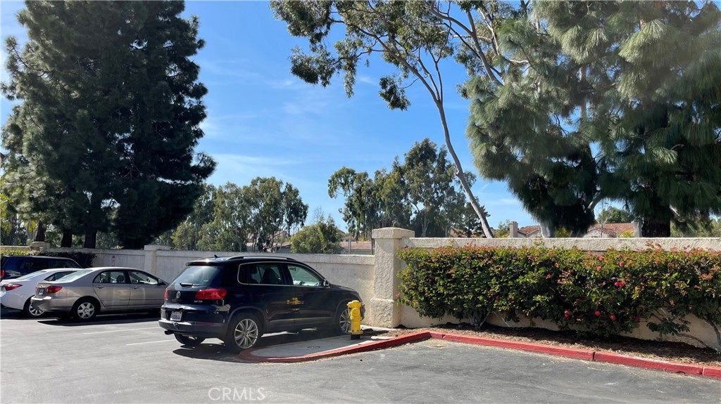 Lots of guest parking - 15 Aruba, Laguna Niguel CA 92677 - photo 53