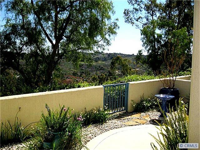Beautiful view from the patio - 15 FLEURANCE Street, Laguna Niguel CA 92677 - photo 1