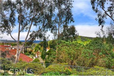 16 Trestles, Laguna Niguel CA 92677 - photo 1
