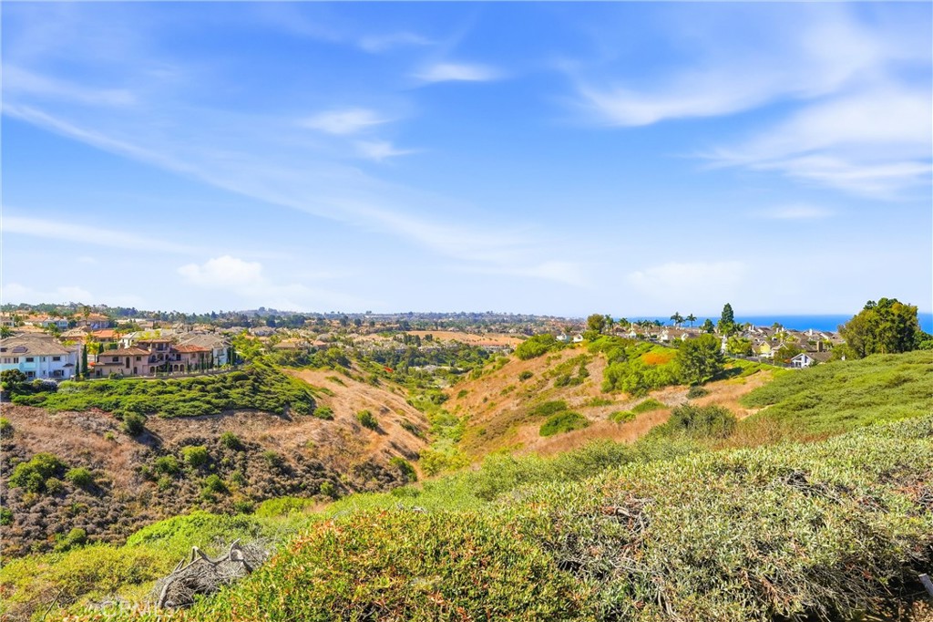 AHHHHH, beautiful peaceful views await. - 18 Byron Close, Laguna Niguel CA 92677 - photo 2