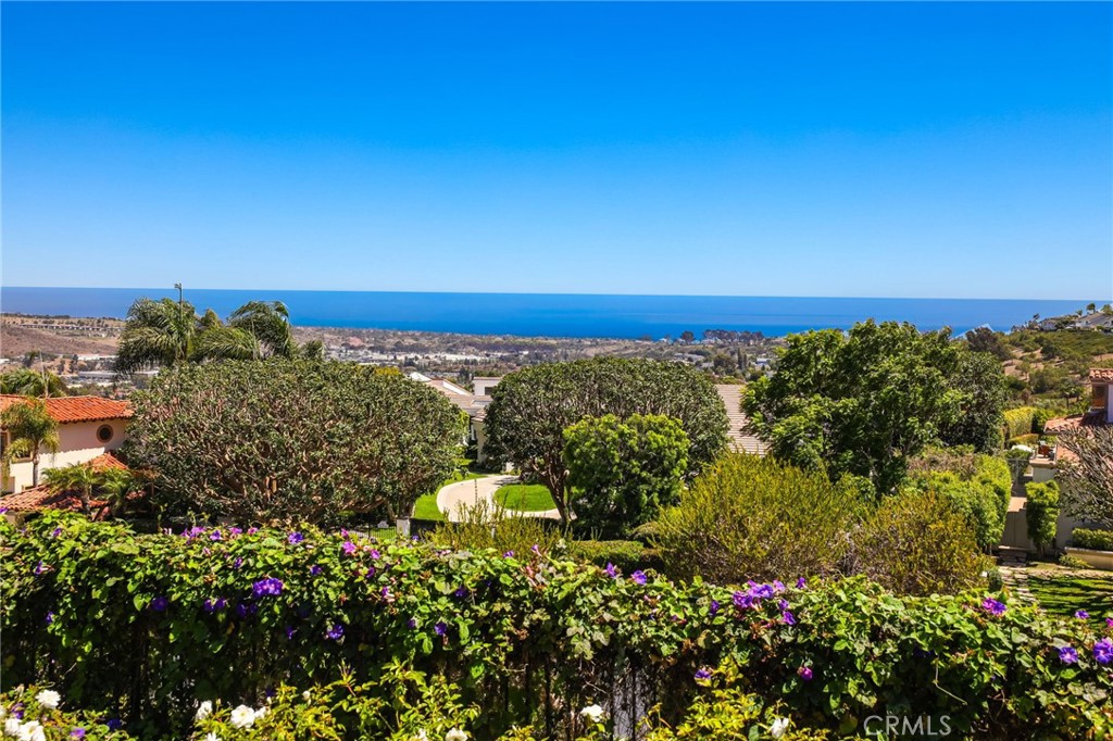 2 Wildflower, Laguna Niguel CA 92677 - photo 31