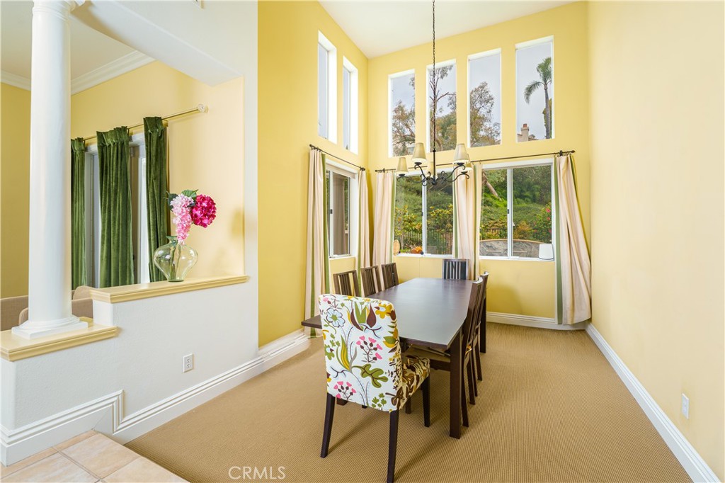 21 Mikro, Laguna Niguel CA 92677 - photo 8