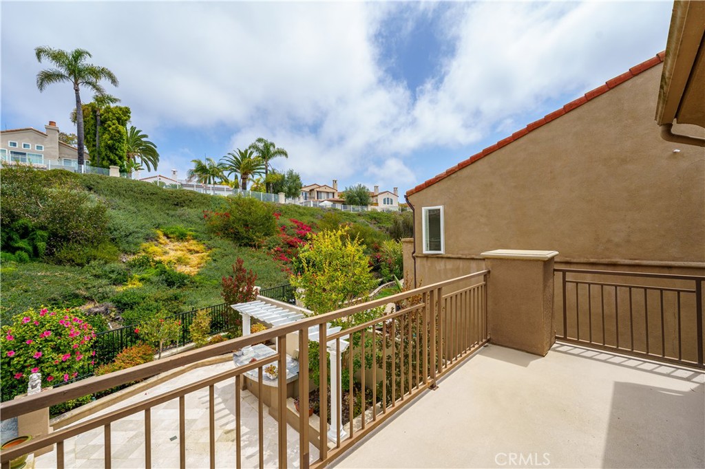 21 Mikro, Laguna Niguel CA 92677 - photo 34