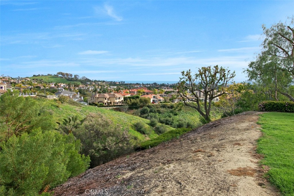 22 Campton Place, Laguna Niguel CA 92677 - photo 37