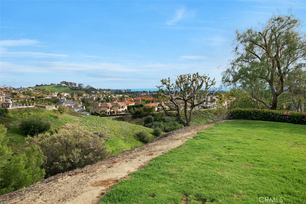 22 Campton Place, Laguna Niguel CA 92677 - photo 39