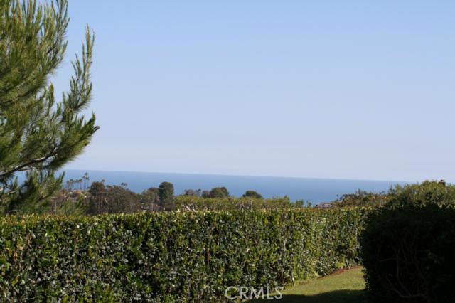 This is the view from the back patio of this single level 3 bedroom home in Monarch Summit II. This view can also be see - 22846 Latigo Drive, Laguna Niguel CA 92677 - photo 1
