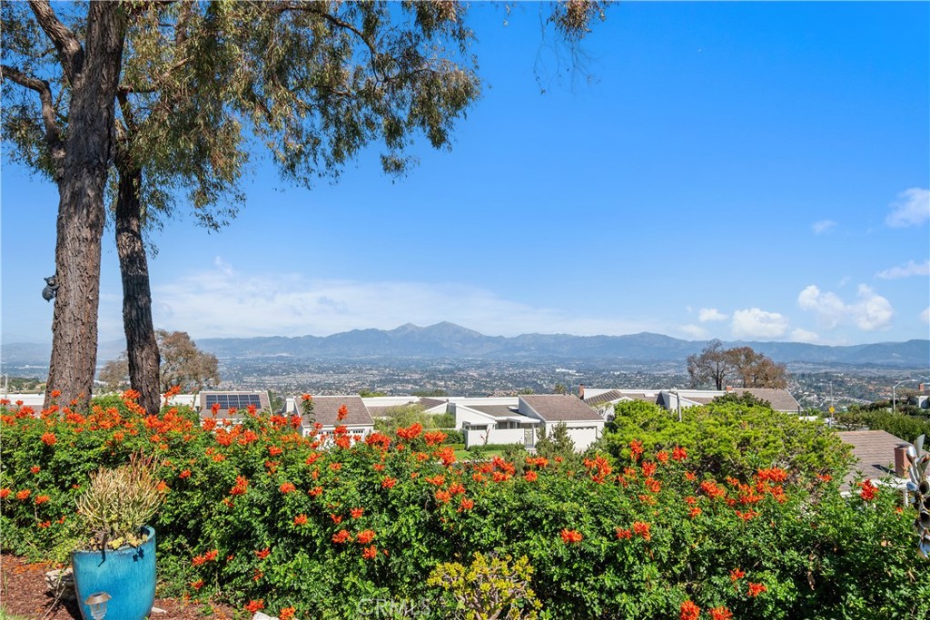 Beautifully landscaped garden with valley views - 22886 Mariano, Laguna Niguel CA 92677 - photo 27
