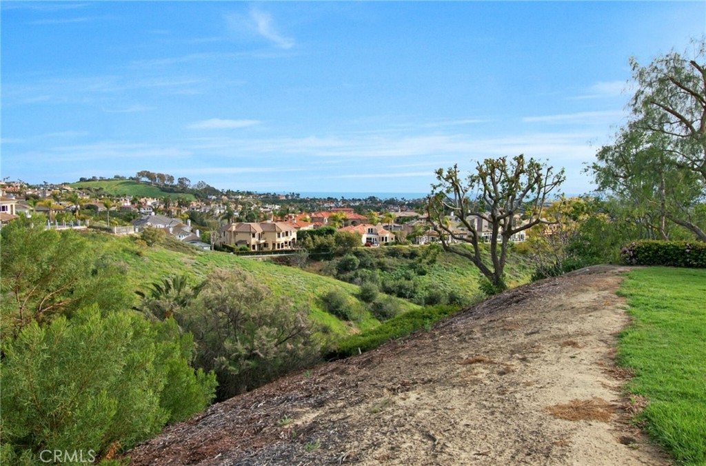 23 Dover Place, Laguna Niguel CA 92677 - photo 26