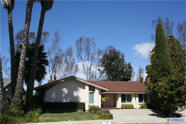 A California CLASSIC at it's best! Fabulous 4 bedroom SINGLE LEVEL under SOARING PALM TREES! - 23581 LOCHLOMOND Street, Laguna Niguel CA 92677 - photo 1