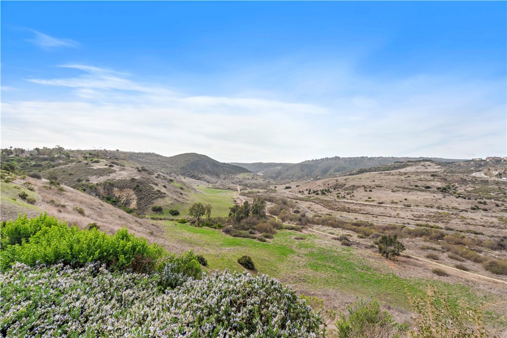 Spectacular Sunset Views. - 23611 Trinidad Lane, Laguna Niguel CA 92677 - photo 48