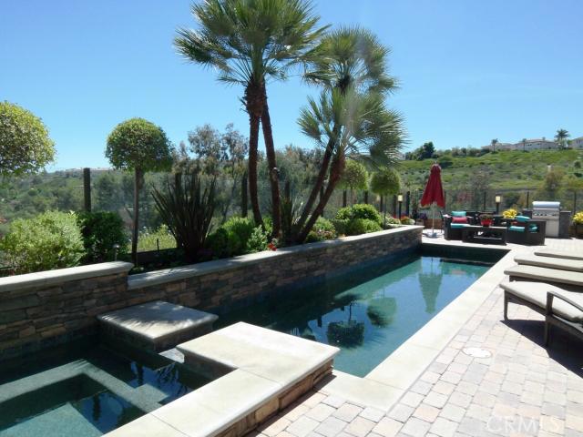 Amazing Views, Private Backyard and Relaxing Salt Water Pool & Spa - 23772 Brant Lane, Laguna Niguel CA 92677 - photo 1