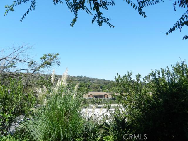 VIEW FROM PATIO - 23821 Hillhurst Drive 32, Laguna Niguel CA 92677 - photo 1