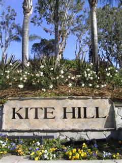 23942 Ibis Court, Laguna Niguel CA 92677 - photo 1