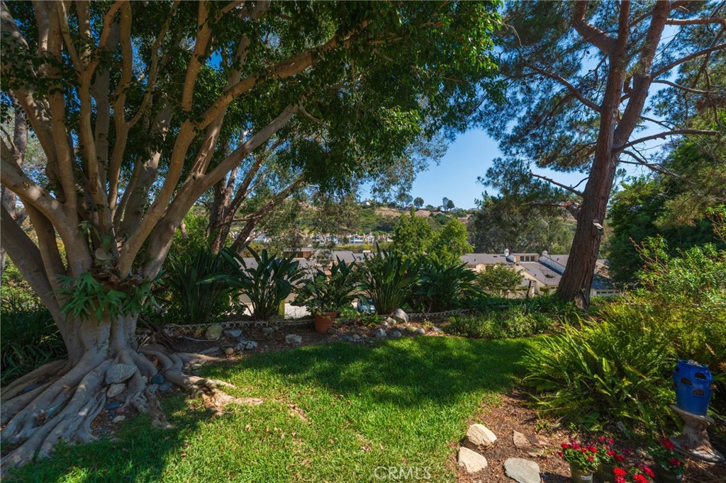Rear yard beyond the patio with lush, mature landscaping - 24356 Hillview, Laguna Niguel CA 92677 - photo 33
