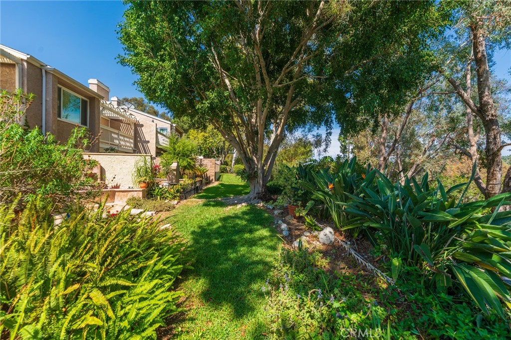 Lush landscaped rear yard extending beyond the patio. - 24356 Hillview, Laguna Niguel CA 92677 - photo 34