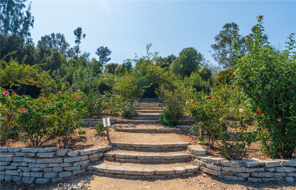 24356 Hillview, Laguna Niguel CA 92677 - photo 42