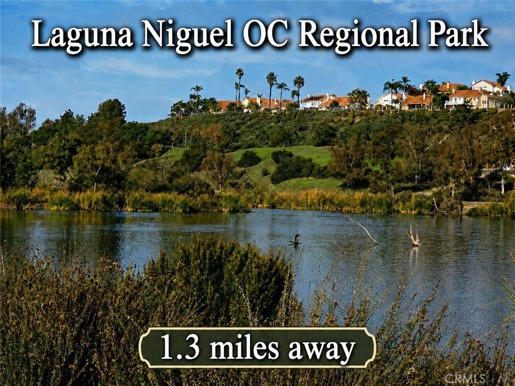 24364 Hilton Way, Laguna Niguel CA 92677 - photo 22