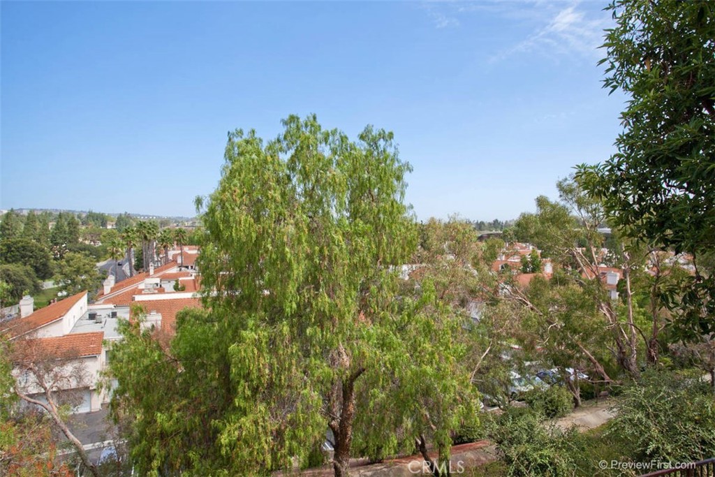 View with nice breeze - 24458 Howes, Laguna Niguel CA 92677 - photo 20