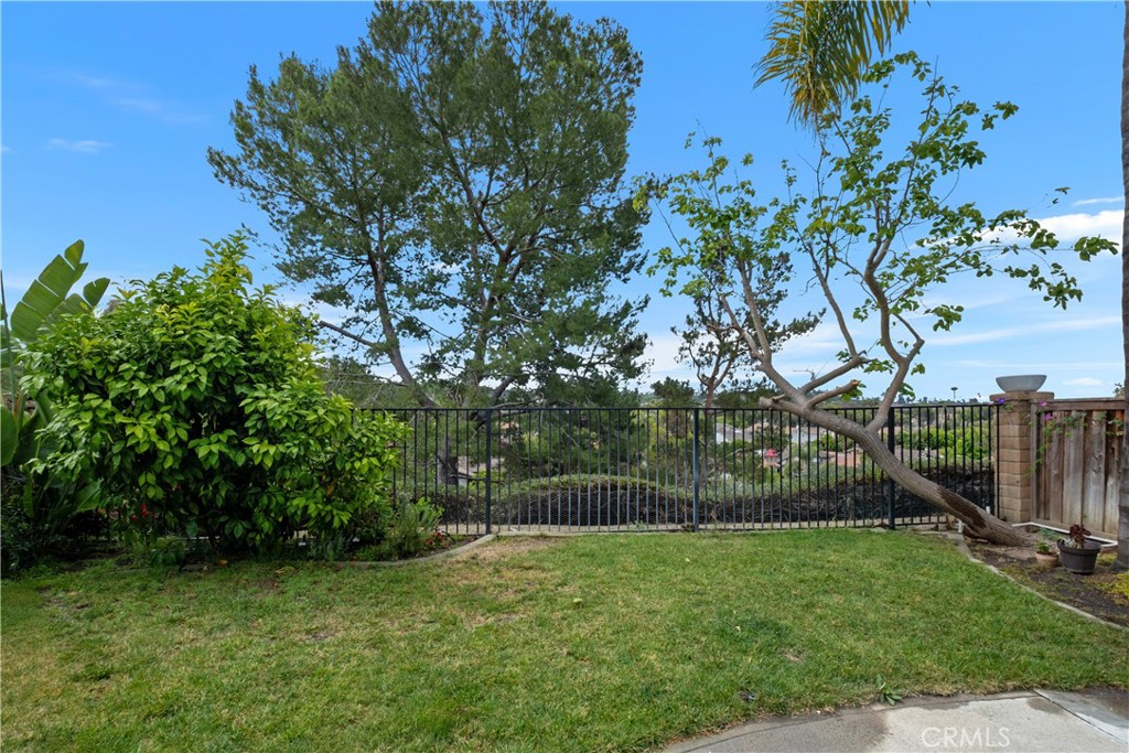 24732 Via Del Oro, Laguna Niguel CA 92677 - photo 34