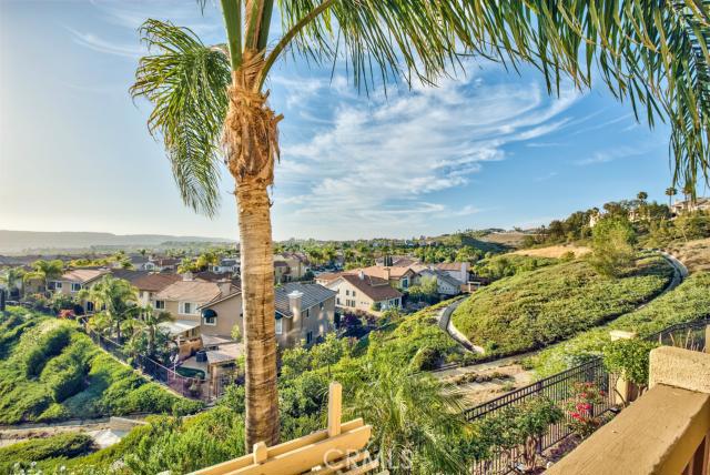 25047 La Mangusta, Laguna Niguel CA 92677 - photo 1