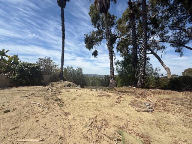 73FB8526-F6B8-434D-938B-32B85A5974E7 - 25211 Via Piedra Blanca, Laguna Niguel CA 92677 - photo 3