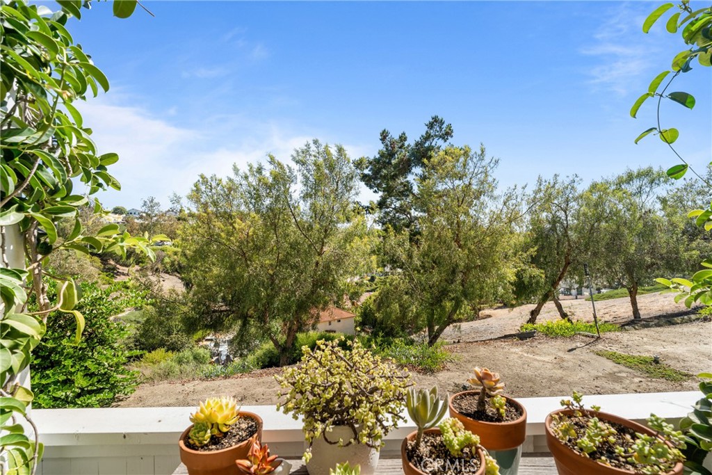 25556 Paseo La Vista, Laguna Niguel CA 92677 - photo 13