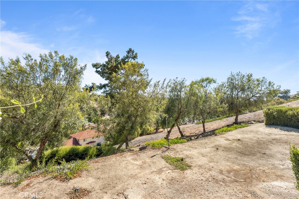 25556 Paseo La Vista, Laguna Niguel CA 92677 - photo 35